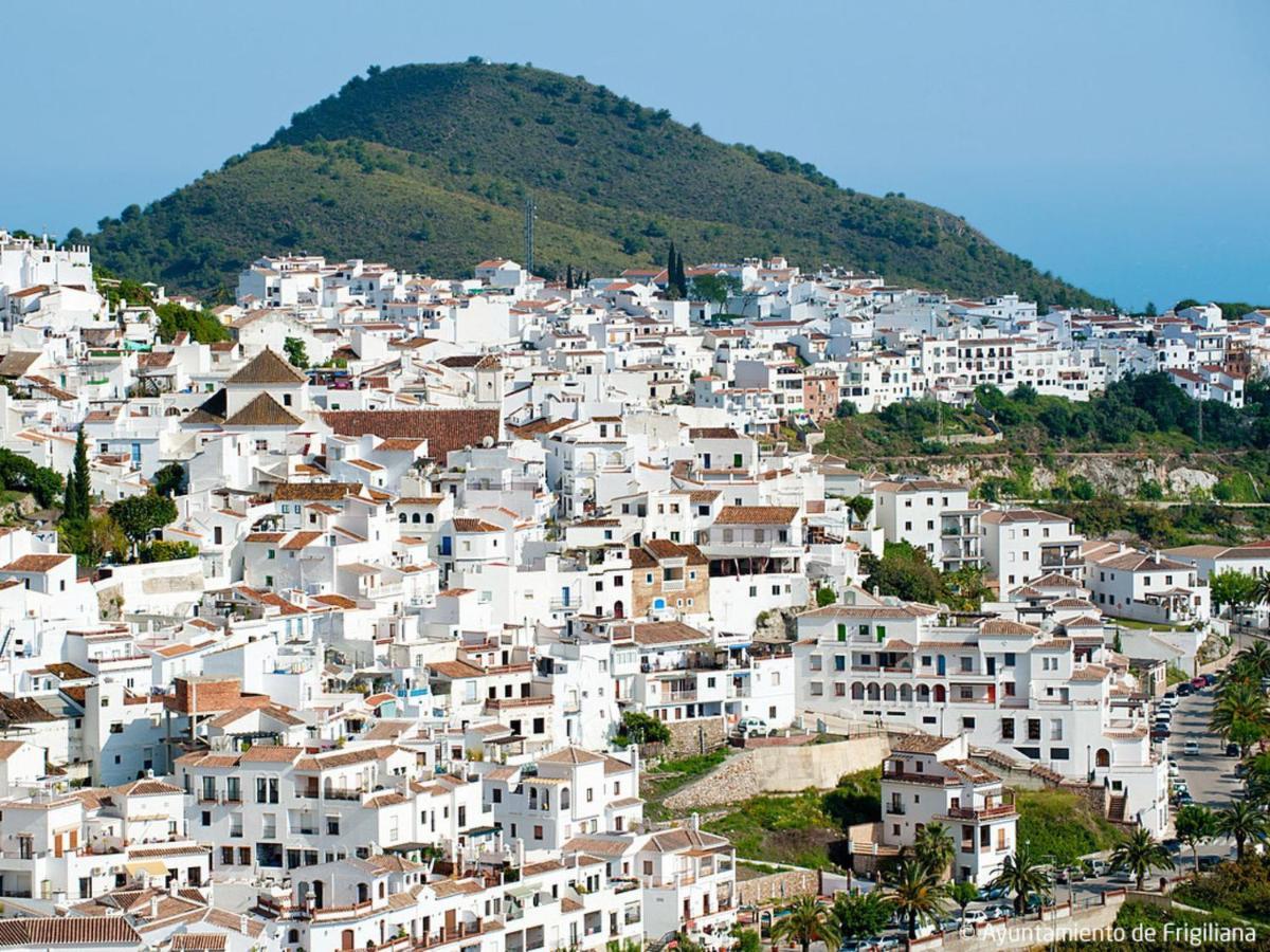 Holiday Home Tres Palmeras - Frg131 By Interhome Frigiliana Buitenkant foto